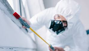 Professional Pest control in Bexley, OH